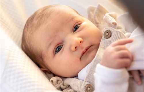 Blagi porast broja rođenih u 2025. godini