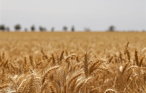 Županijski Javni poziv za kreditiranje proljetne i jesenske sjetve u...