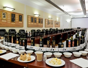 Prijavite se na izložbu bučinog ulja u Varaždinu