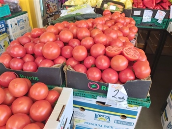 Besplatna podjela sjemena starinskih sorti rajčica