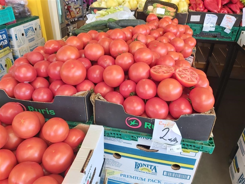 Besplatna podjela sjemena starinskih sorti rajčica