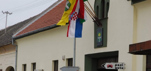 Izgledna kriza vlasti u Općini Erdut