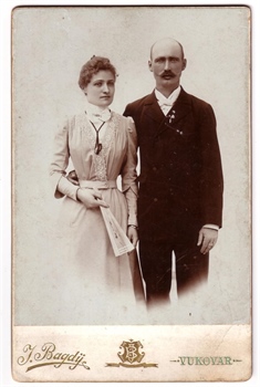 Obitelj Najpar posjedovala je Mitnicu s dunavske strane, od jedne do druge dole