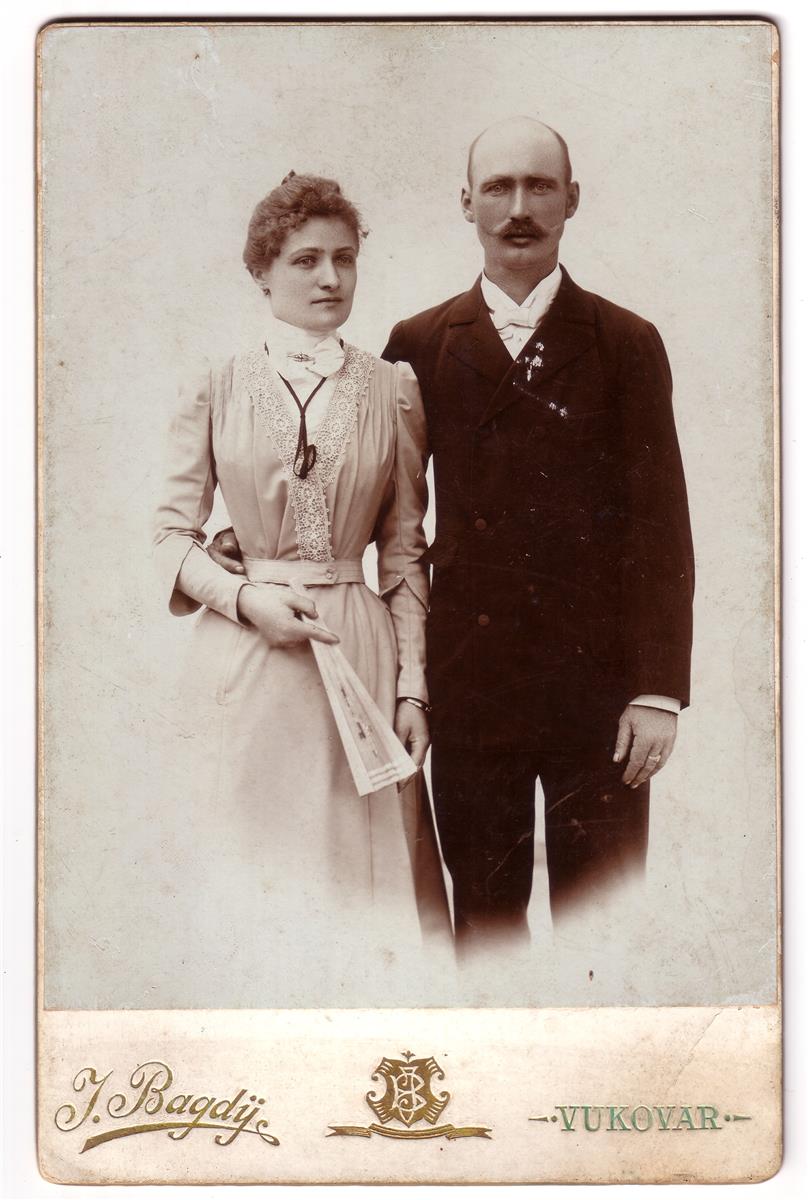 Obitelj Najpar posjedovala je Mitnicu s dunavske strane, od jedne do druge dole