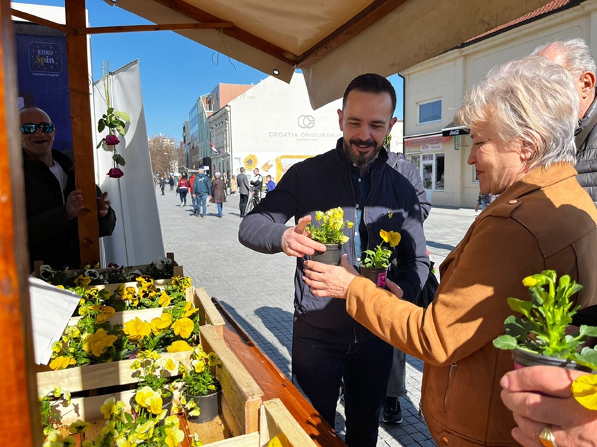 Domovinski pokret Vukovar obilježio Dan žena podjelom sadnica maćuhica