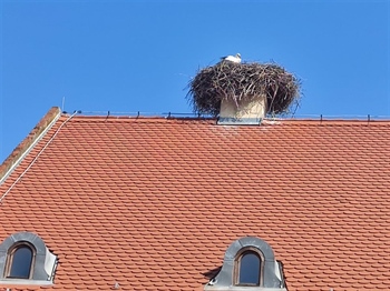 Vratila se roda u središte Vukovara