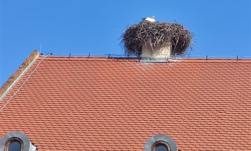 Vratila se roda u središte Vukovara