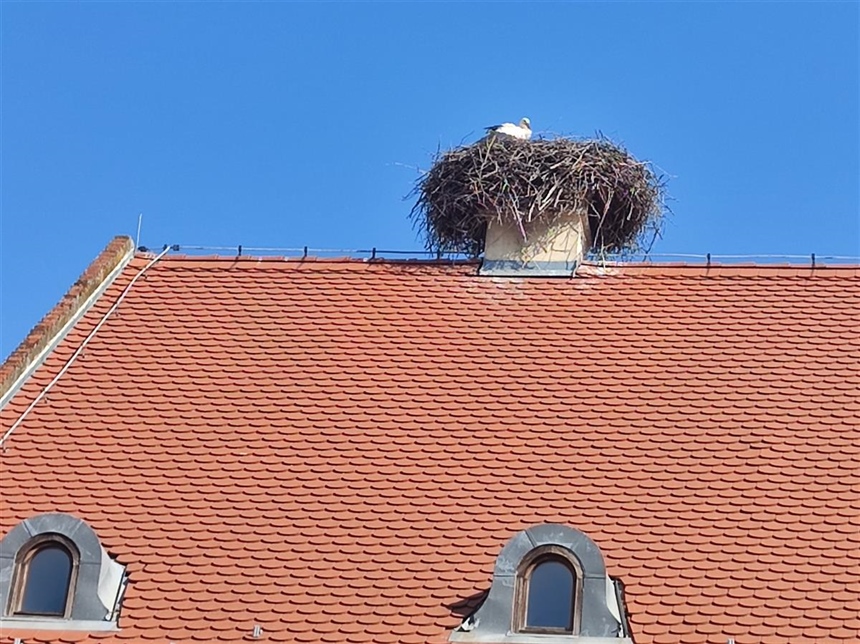 Vratila se roda u središte Vukovara