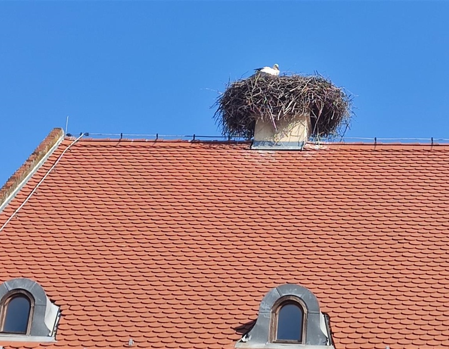 Vratila se roda u središte Vukovara