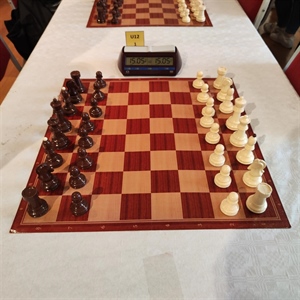 Šahovski klub Vukovar 91 pobjedom krenuo u novo prvenstvo