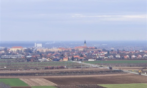 Ilok: Obavijest vlasnicima vinograda