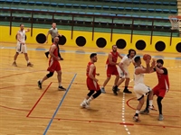 Košarka: Vinkovci – Borovo 87:92