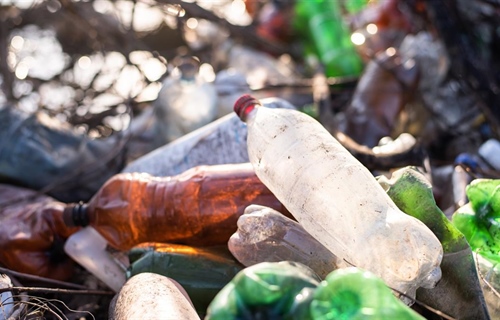 U subotu 21. ožujka akcija čišćenja obale rijeke Dunav