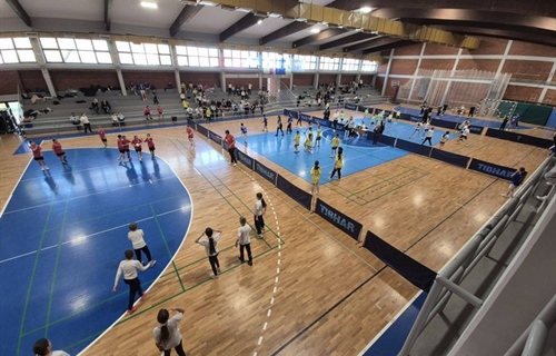 Osnovna škola “Antun Gustav Matoš“ iz Vinkovaca prva na Županijskom...