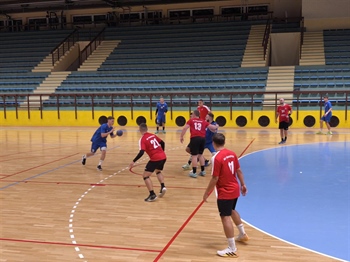 Petrijevci i Borovo odigrali neodlučeno 30:30