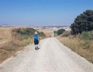 Camino koji mijenja živote: Hrvatska već ima više od 3000 kilometara...