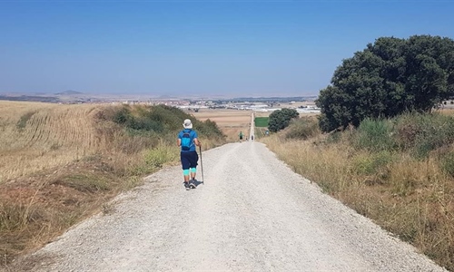 Camino koji mijenja živote: Hrvatska već ima više od 3000 kilometara...