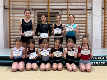 Vukovarske gimnastičarke sudjelovale na on line natjecanju