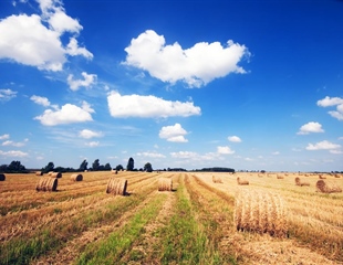Javno predstavljeno sedam pravilnika iz područja poljoprivrede i ribarstva