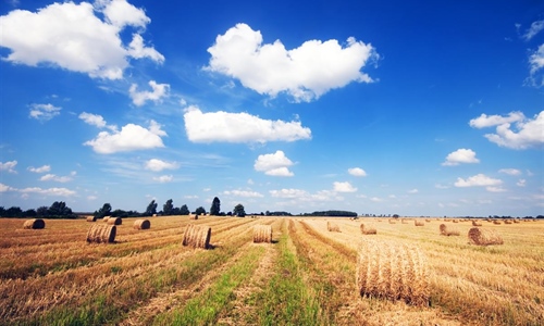 Javno predstavljeno sedam pravilnika iz područja poljoprivrede i ribarstva