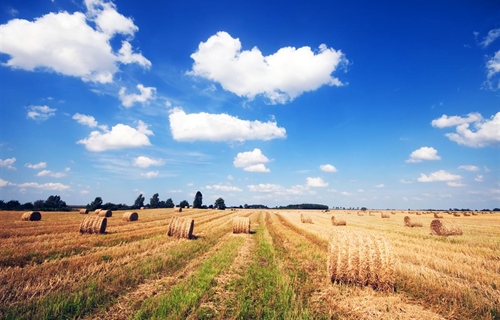 Javno predstavljeno sedam pravilnika iz područja poljoprivrede i ribarstva