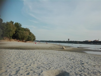 Grad traži nove organizatore prijevoza i održavanja Vukovarske ade