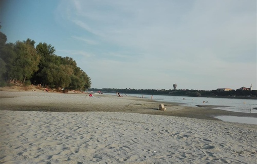 Grad traži nove organizatore prijevoza i održavanja Vukovarske ade