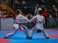 Karate kup ponovno u Vukovaru