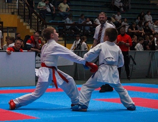Karate kup ponovno u Vukovaru