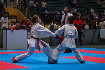 Karate kup ponovno u Vukovaru