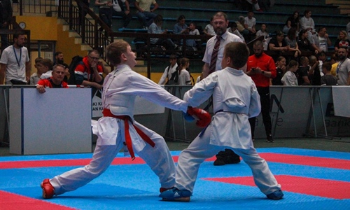 Karate kup ponovno u Vukovaru