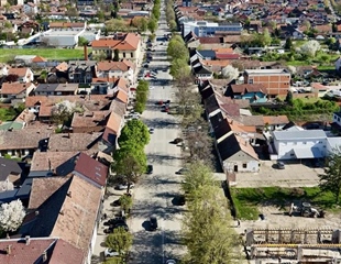 Vinkovci – uklanjanje i sadnja stabala