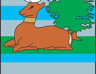 Za razvoj sporta Vukovarsko-srijemske županije osigurano više od 290...