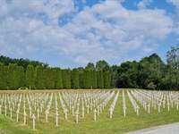 U Gradskoj knjižnici Vukovar počinje ciklus predavanja o vukovarskim...
