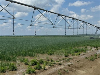 Upitnik za poljoprivrednike: VSŽ planira potpore za kamate na opremu za navodnjavanje