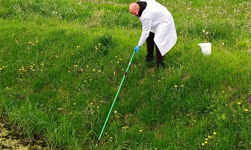 U Vinkovcima počela nova sezona suzbijanja komaraca