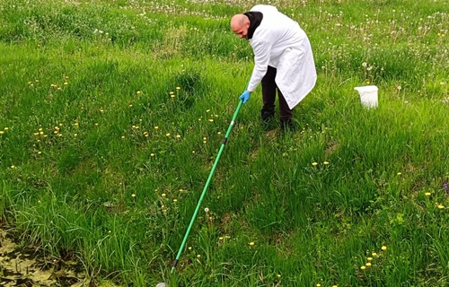 U Vinkovcima počela nova sezona suzbijanja komaraca