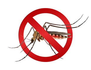 U petak tretiranje komaraca u Iloku