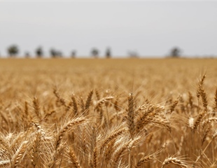 Kroz Javni poziv za unaprijeđenje poljoprivrede i ruralnog područja u...