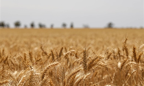 Kroz Javni poziv za unaprijeđenje poljoprivrede i ruralnog područja u...