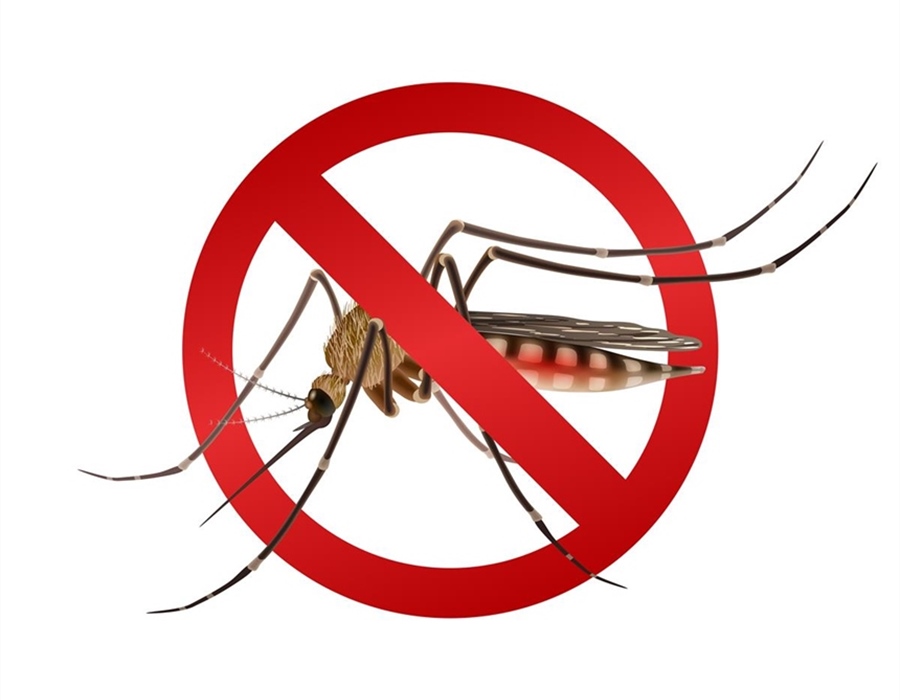 U utorak 22. travnja provodit će se larvicidni tretman protiv komaraca