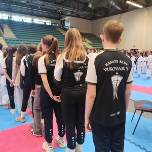 Vukovarski karatisti osvojili 25 odličja na domaćem turniru