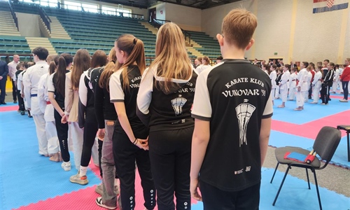 Vukovarski karatisti osvojili 25 odličja na domaćem turniru