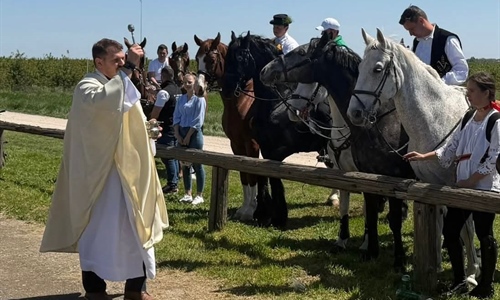Slavonska tradicija koja spaja vjeru, rad i identitet