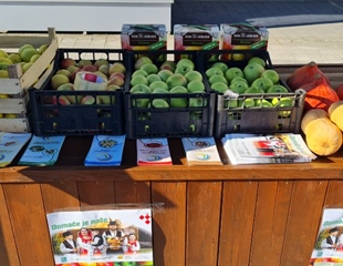 Zbog moguće kontaminacije bakterijom povlače se klice rotkvice