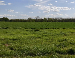 Javni natječaj za udruge u području poljoprivrede i ruralnog razvoja...