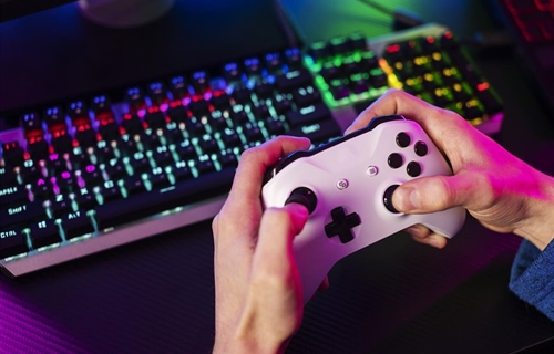 Alarm stručnjaka: Djeca nestaju preko društvenih mreža i gaming platformi