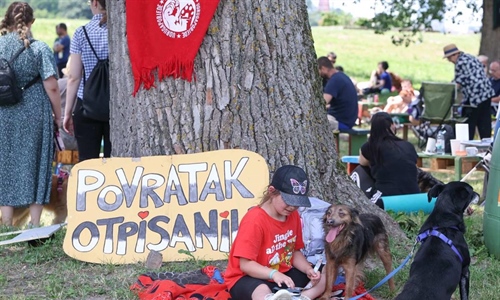„Povratak otpisanih” ponovno spojio ljude i pse: Osijek ulaže milijune...