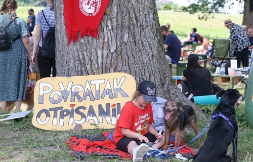 „Povratak otpisanih” ponovno spojio ljude i pse: Osijek ulaže milijune...