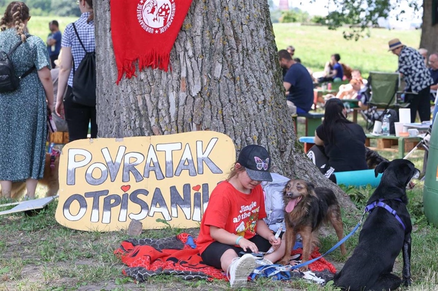 „Povratak otpisanih” ponovno spojio ljude i pse: Osijek ulaže milijune u brigu o napuštenim životinjama